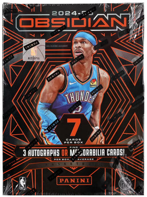 2024/25 Panini Obsidian Basketball Hobby Box