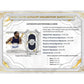 2023/24 Topps Royalty Collection Basketball Hobby Box