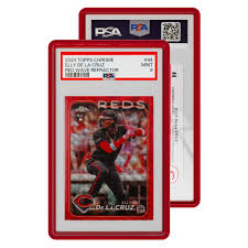 Graded Guard - PSA Jewel