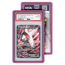 Graded Guard - PSA Standard